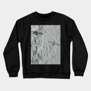 Bird Print Crewneck Sweatshirt